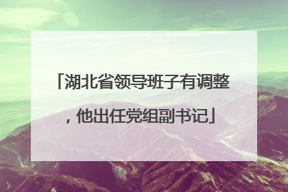 湖北省领导班子有调整，他出任党组副书记