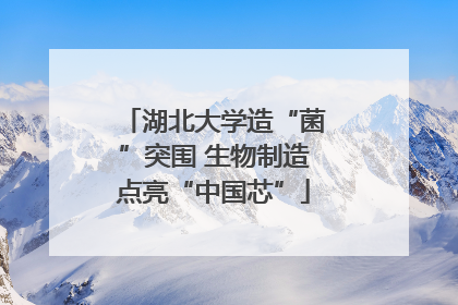 湖北大学造“菌”突围 生物制造点亮“中国芯”