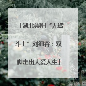 湖北崇阳“无臂斗士”刘细谷：双脚走出大爱人生