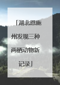 湖北恩施州发现三种两栖动物新记录