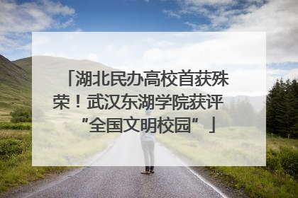 湖北民办高校首获殊荣！武汉东湖学院获评“全国文明校园”