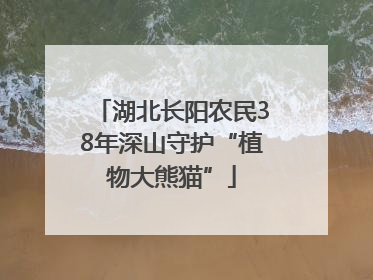 湖北长阳农民38年深山守护“植物大熊猫”