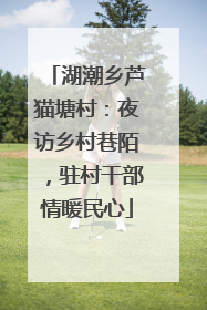 湖潮乡芦猫塘村：夜访乡村巷陌，驻村干部情暖民心