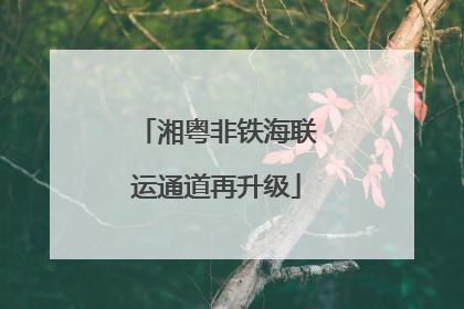 湘粤非铁海联运通道再升级
