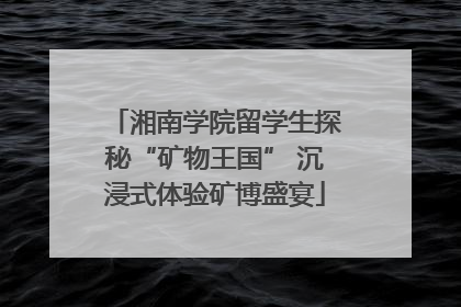 湘南学院留学生探秘“矿物王国” 沉浸式体验矿博盛宴