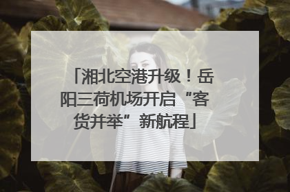 湘北空港升级！岳阳三荷机场开启“客货并举”新航程