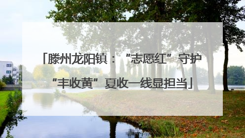 滕州龙阳镇：“志愿红”守护“丰收黄”夏收一线显担当