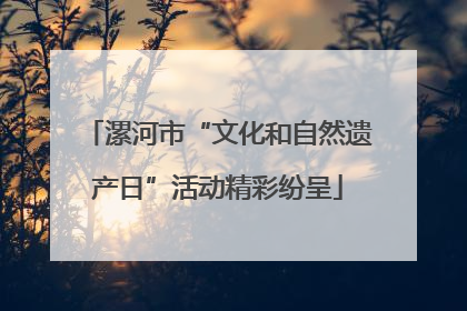 漯河市“文化和自然遗产日”活动精彩纷呈