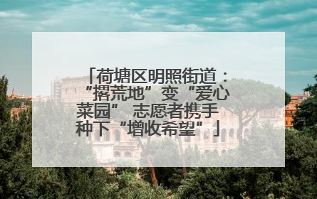 荷塘区明照街道：“撂荒地”变“爱心菜园” 志愿者携手种下“增收希望”