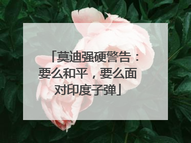 莫迪强硬警告：要么和平，要么面对印度子弹