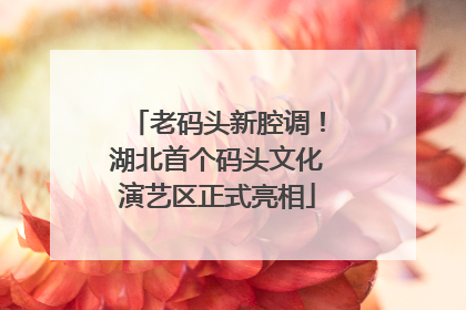 老码头新腔调！湖北首个码头文化演艺区正式亮相