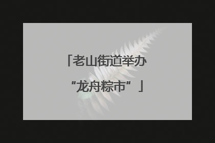老山街道举办“龙舟粽市”