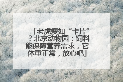 老虎瘦如“卡片”？北京动物园：饲料能保障营养需求，它体重正常，放心吧