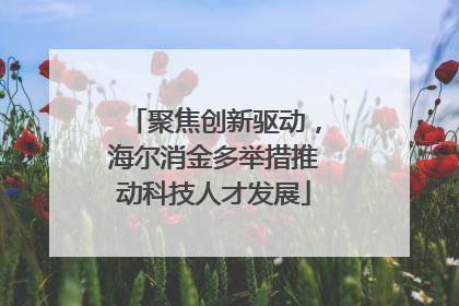 聚焦创新驱动，海尔消金多举措推动科技人才发展