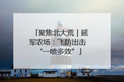 聚焦北大荒｜延军农场：飞防出击 “一喷多效”