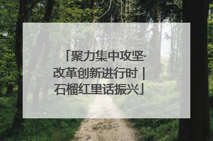 聚力集中攻坚·改革创新进行时｜石榴红里话振兴
