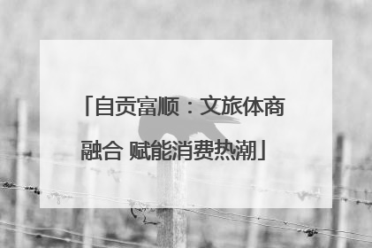 自贡富顺：文旅体商融合 赋能消费热潮