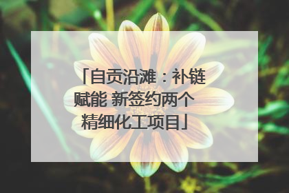 自贡沿滩：补链赋能 新签约两个精细化工项目