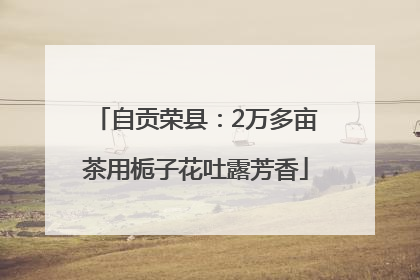 自贡荣县：2万多亩茶用栀子花吐露芳香