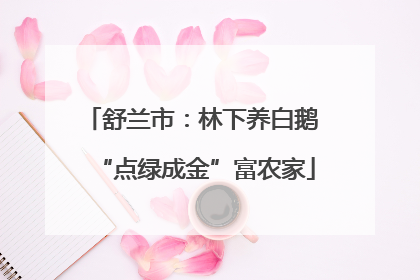 舒兰市：林下养白鹅 “点绿成金”富农家