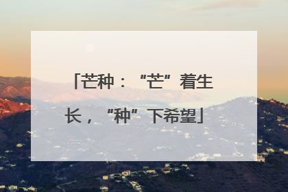 芒种：“芒”着生长，“种”下希望