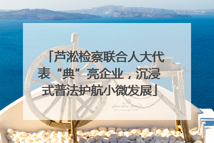 芦淞检察联合人大代表“典”亮企业，沉浸式普法护航小微发展