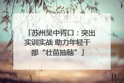 苏州吴中胥口：突出实训实战 助力年轻干部“壮苗抽穗”