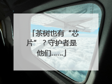 茶树也有“芯片”？守护者是他们……