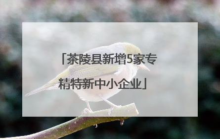 茶陵县新增5家专精特新中小企业