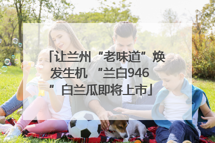让兰州“老味道”焕发生机 “兰白946”白兰瓜即将上市