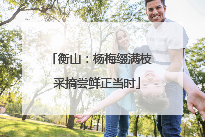 衡山：杨梅缀满枝 采摘尝鲜正当时