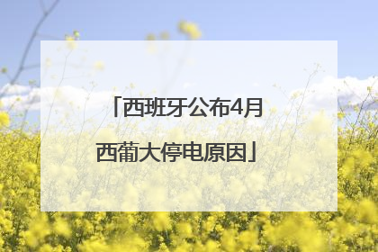 西班牙公布4月西葡大停电原因