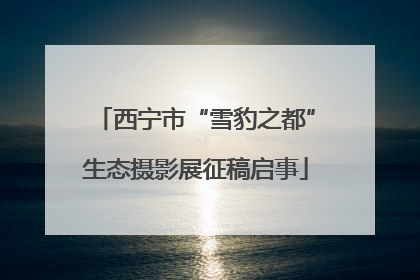 西宁市“雪豹之都”生态摄影展征稿启事