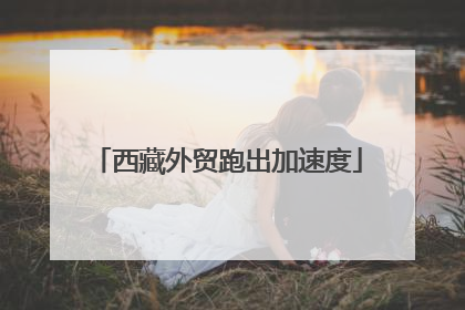 西藏外贸跑出加速度