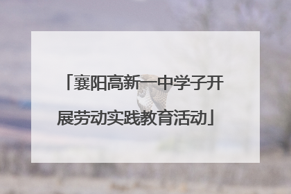 襄阳高新一中学子开展劳动实践教育活动