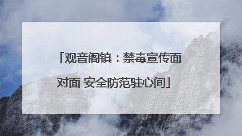 观音阁镇：禁毒宣传面对面 安全防范驻心间