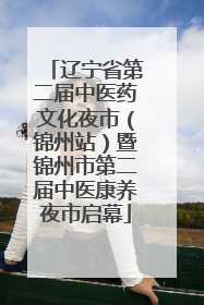 辽宁省第二届中医药文化夜市（锦州站）暨锦州市第二届中医康养夜市启幕