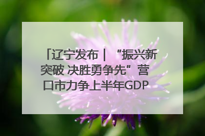 辽宁发布｜“振兴新突破 决胜勇争先”营口市力争上半年GDP增长6%左右