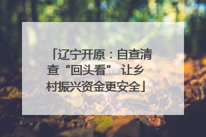 辽宁开原：自查清查“回头看” 让乡村振兴资金更安全