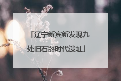 辽宁新宾新发现九处旧石器时代遗址