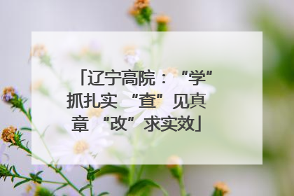 辽宁高院：“学”抓扎实 “查”见真章 “改”求实效