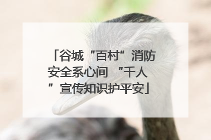 谷城“百村”消防安全系心间 “千人”宣传知识护平安