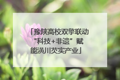 豫陕高校双擎联动 “科技+非遗”赋能潢川芡实产业