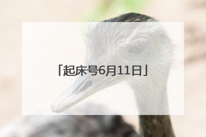 起床号6月11日