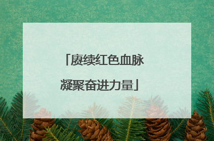 赓续红色血脉 凝聚奋进力量