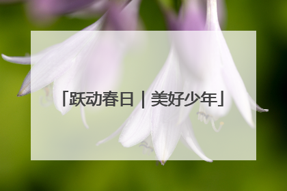 跃动春日｜美好少年