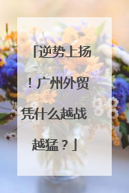 逆势上扬！广州外贸凭什么越战越猛？