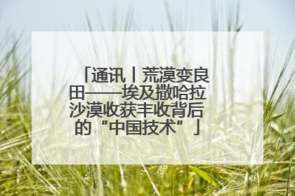 通讯丨荒漠变良田——埃及撒哈拉沙漠收获丰收背后的“中国技术”