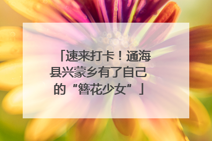 速来打卡！通海县兴蒙乡有了自己的“簪花少女”