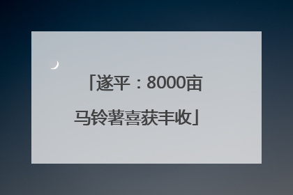 遂平：8000亩马铃薯喜获丰收